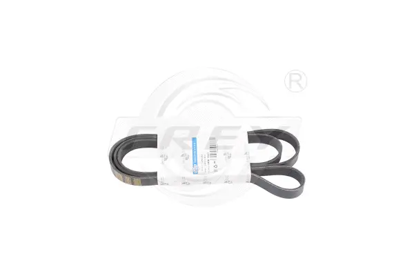 V-Ribbed Belt (721605501)