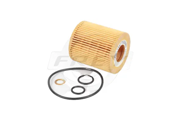 Oil Filter (809102001)