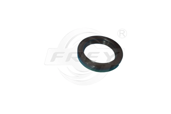 Shaft Seal, manual transmission (895502401)