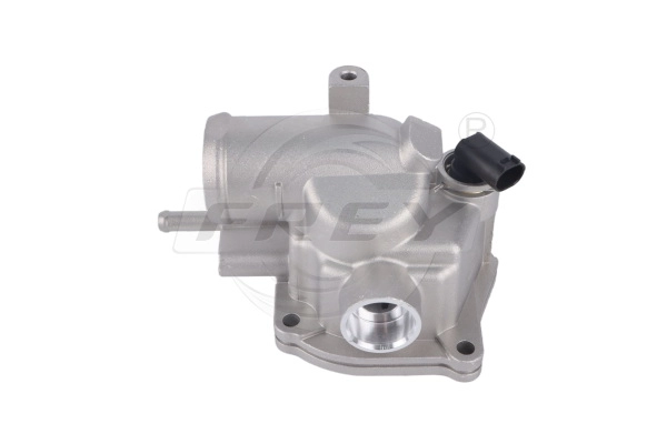 Thermostat, coolant (723106801)