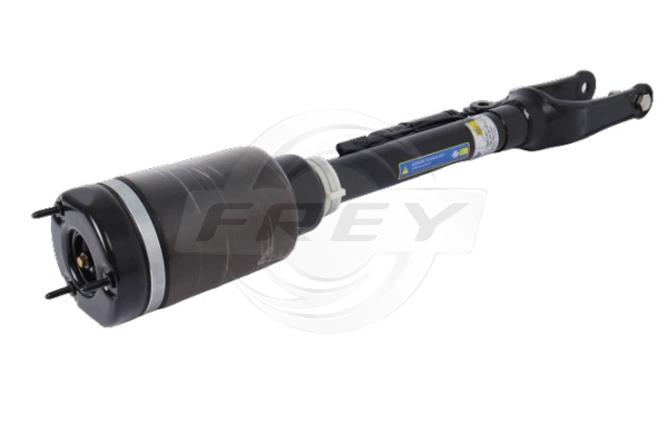 Air Suspension Strut (750400201)