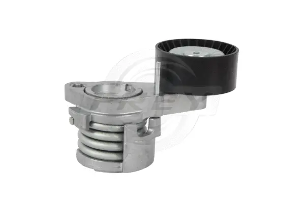 Tensioner Lever, V-ribbed belt (821203401)