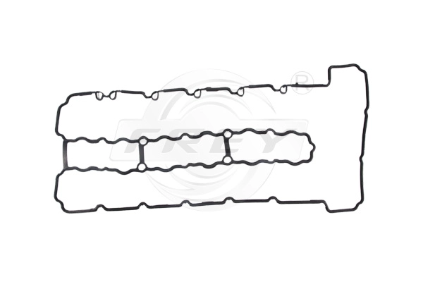 Gasket, cylinder head cover (800400801)