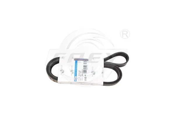 V-Ribbed Belt (821616901)