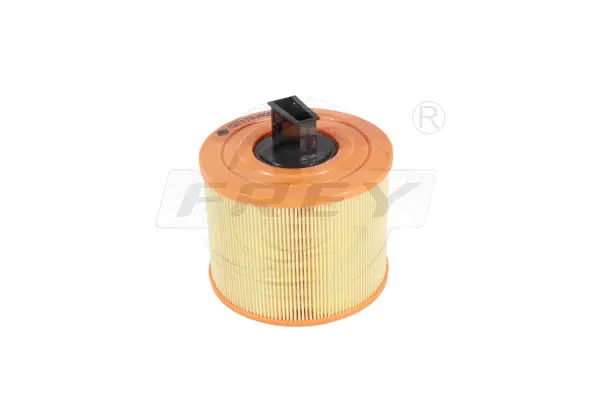 Air Filter (803103301)