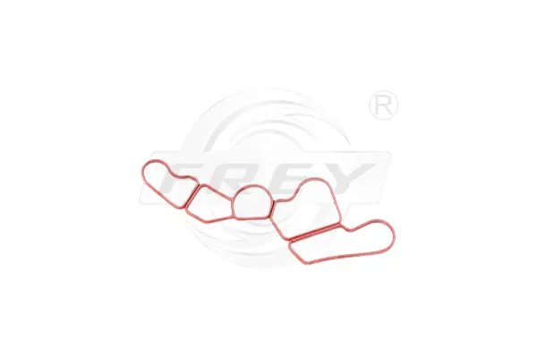 Gasket, oil filter housing (700500501)