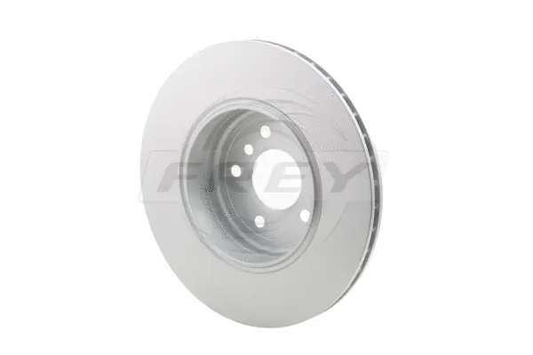 Brake Disc (845231901)