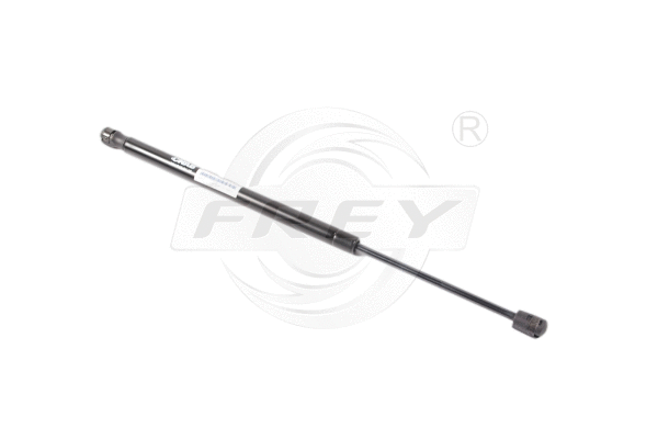 Gas Spring (790803801)