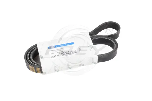 V-Ribbed Belt (821607601)