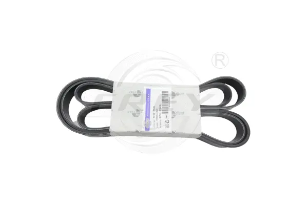 V-Ribbed Belt (721617501)