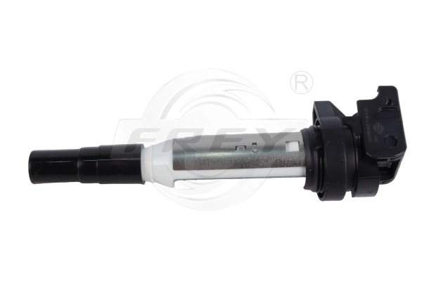Ignition Coil (818403401)