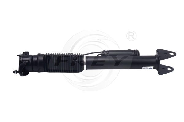 Shock Absorber (750438901)