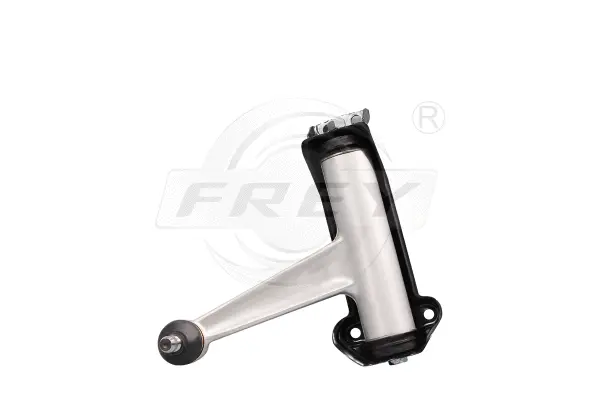 Control/Trailing Arm, wheel suspension (750101101)