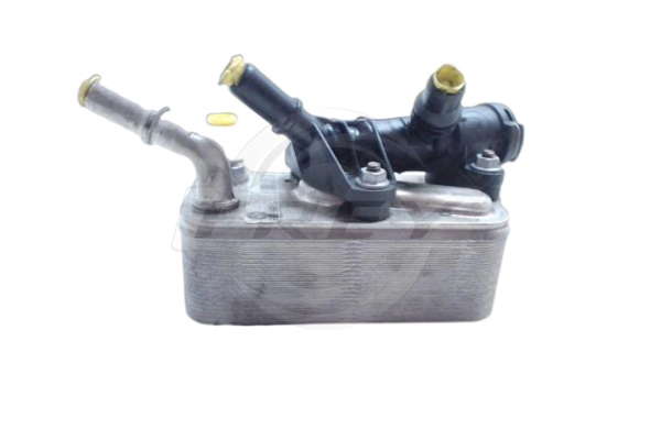 Oil Cooler, engine oil (809511901)