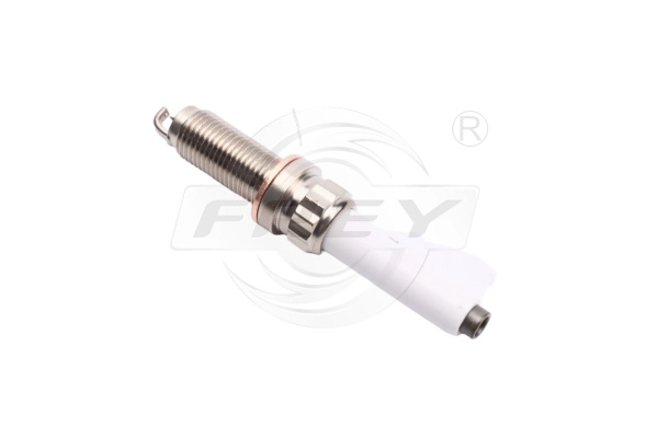 Spark Plug (818902601)