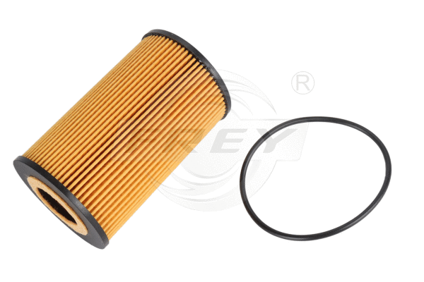 Air Filter (709101401)