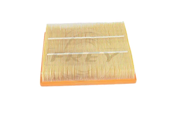 Air Filter (803106901)