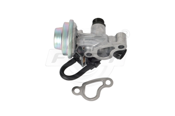 EGR Valve (704003901)