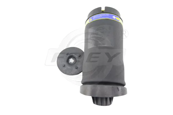 Air Spring, suspension (750428201)