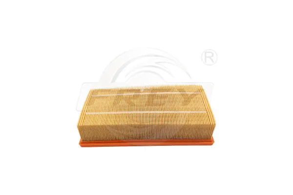Air Filter (803102301)