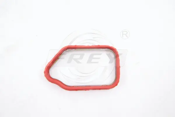 Gasket, timing case (700532301)