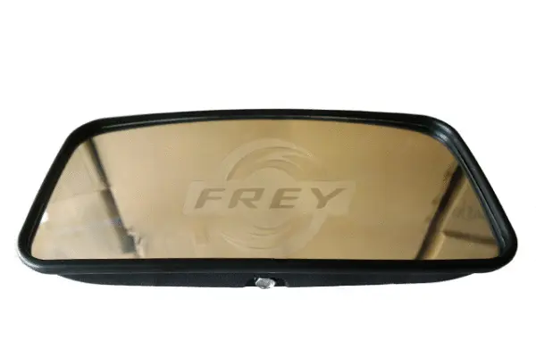 Exterior Mirror, driver cab (792008701)