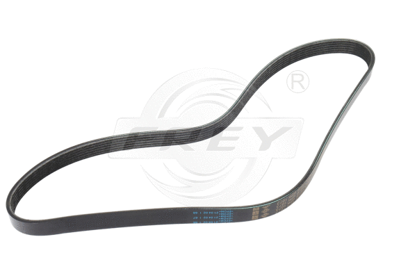 V-Ribbed Belt (721618901)