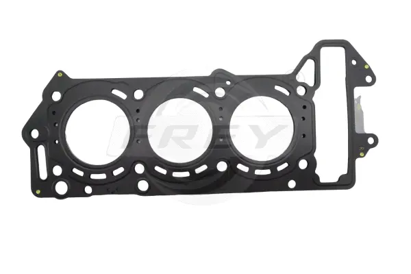 Gasket, cylinder head (700119401)