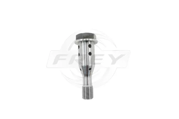 Central Valve, camshaft adjustment (886400501)