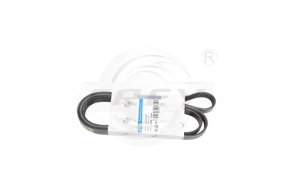 V-Ribbed Belt (821606801)