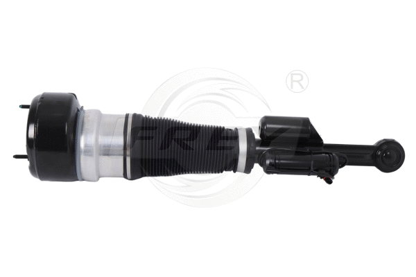 Shock Absorber (750409401)