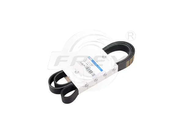 V-Ribbed Belt (821608301)