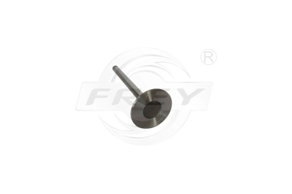 Intake Valve (706701201)