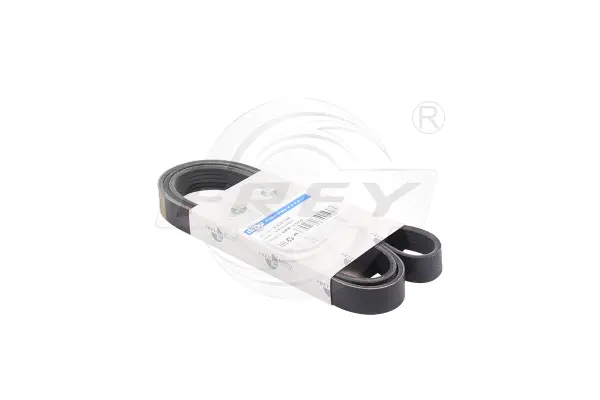 V-Ribbed Belt (821604413)