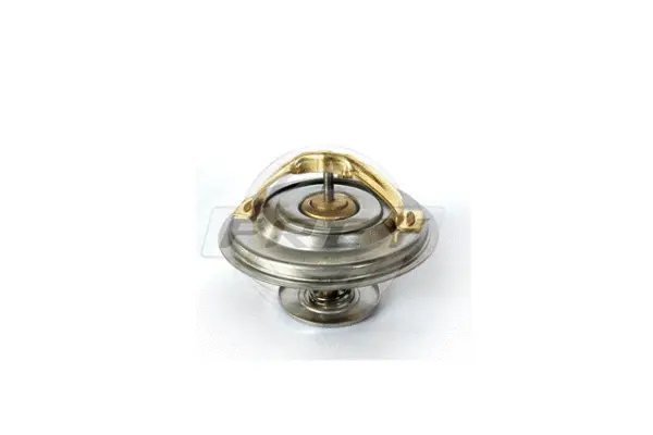 Thermostat, coolant (823101401)