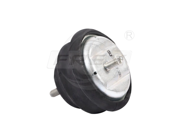 Mounting, engine (802900701)