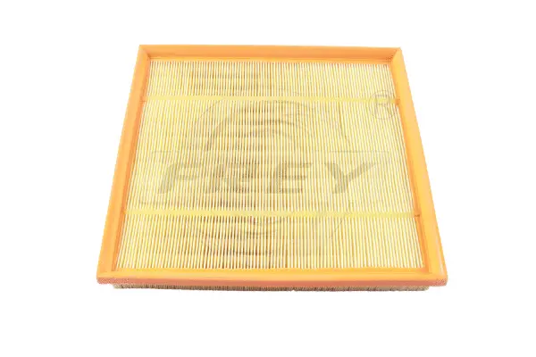 Air Filter (803105701)