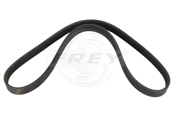V-Ribbed Belt (821600301)
