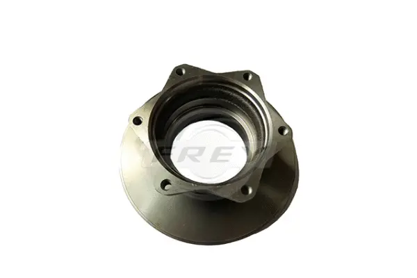 Brake Disc (745205501)