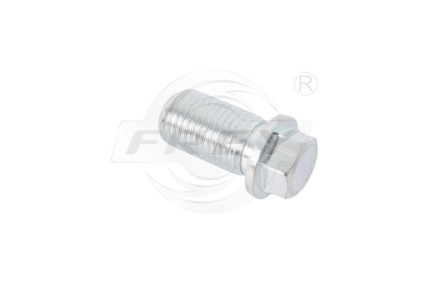 Screw Plug, oil sump (701755601)