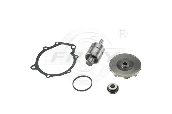 Repair Kit, water pump (723013804)
