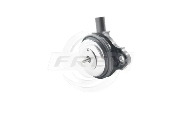 Central Magnet, camshaft adjustment (807100101)