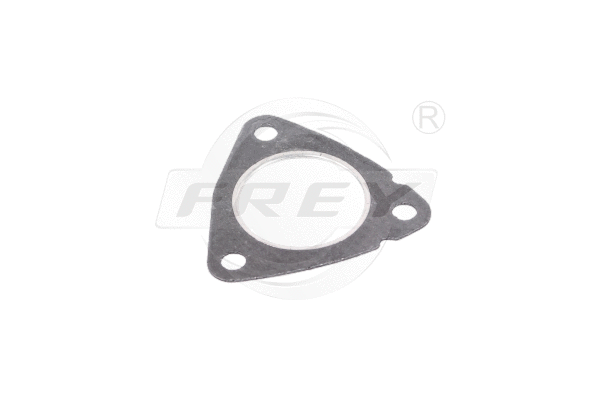 Gasket, exhaust pipe (800700501)