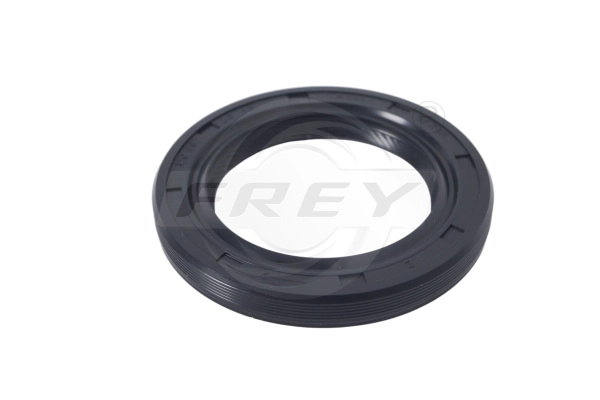 Shaft Seal, crankshaft (712400301)
