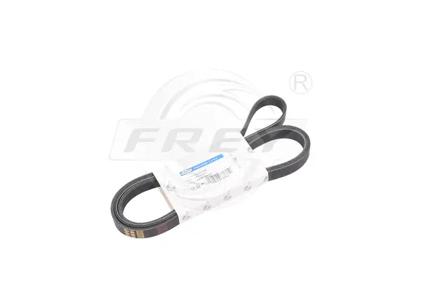V-Ribbed Belt (821605401)