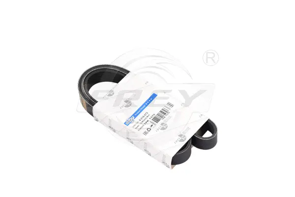 V-Ribbed Belt (821607201)