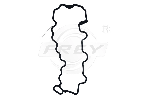 Gasket, cylinder head cover (700401043)