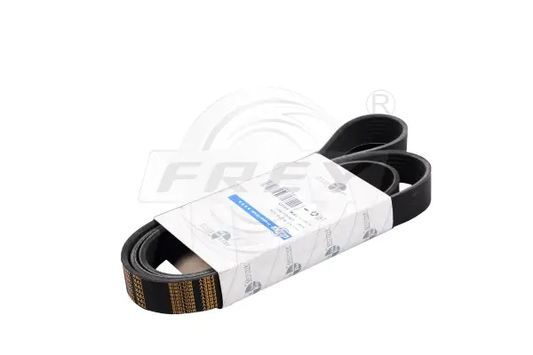 V-Ribbed Belt (821600401)