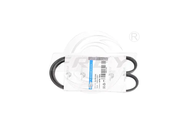 V-Ribbed Belt (821610101)