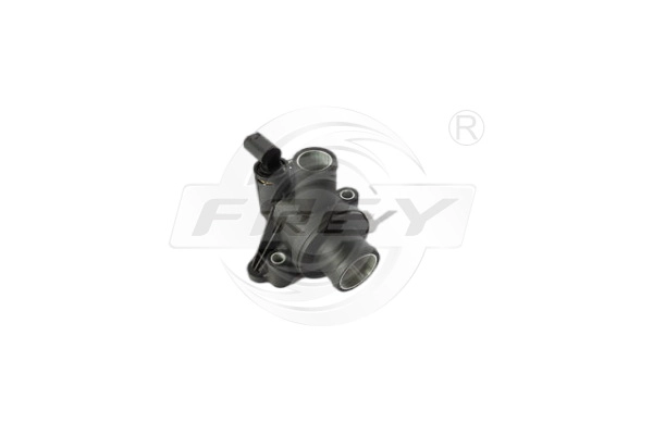 Thermostat, coolant (723101301)